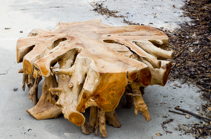 Rustic Teak Root Coffee Tables D120cm - Root furniture