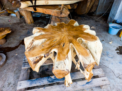 Indonesia Teak Root Coffee Table D80cm - Solid teak wood table