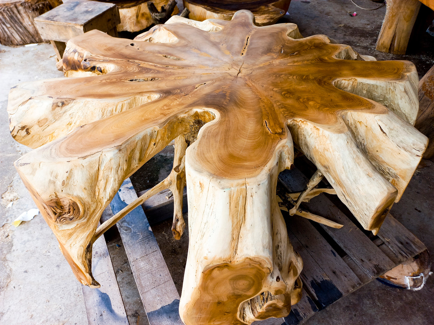 Indonesia Teak Root Coffee Table D80cm - Solid teak wood table