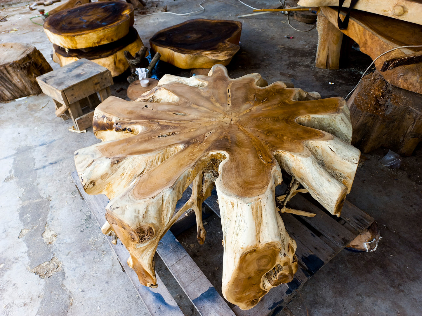 Indonesia Teak Root Coffee Table D80cm - Solid teak wood table